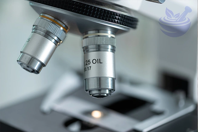 laboratory setting highlighting research into thymoquinone and antioxidant energy support.